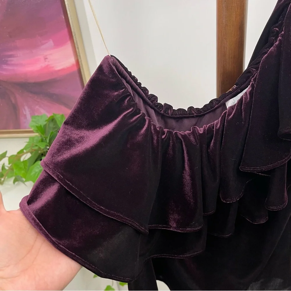 Misa Ruffle One-shoulder Velvet TopIn Plum Velvet Size S‎